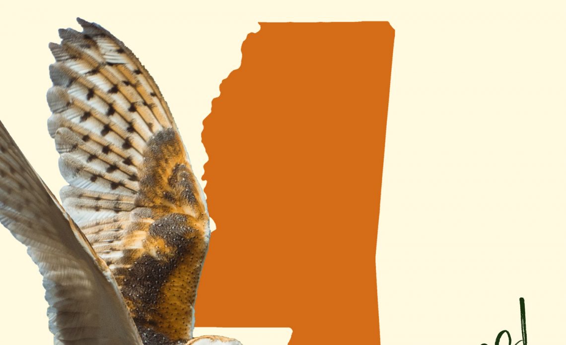 All 12 Owls in Mississippi [With Sounds & Pictures]