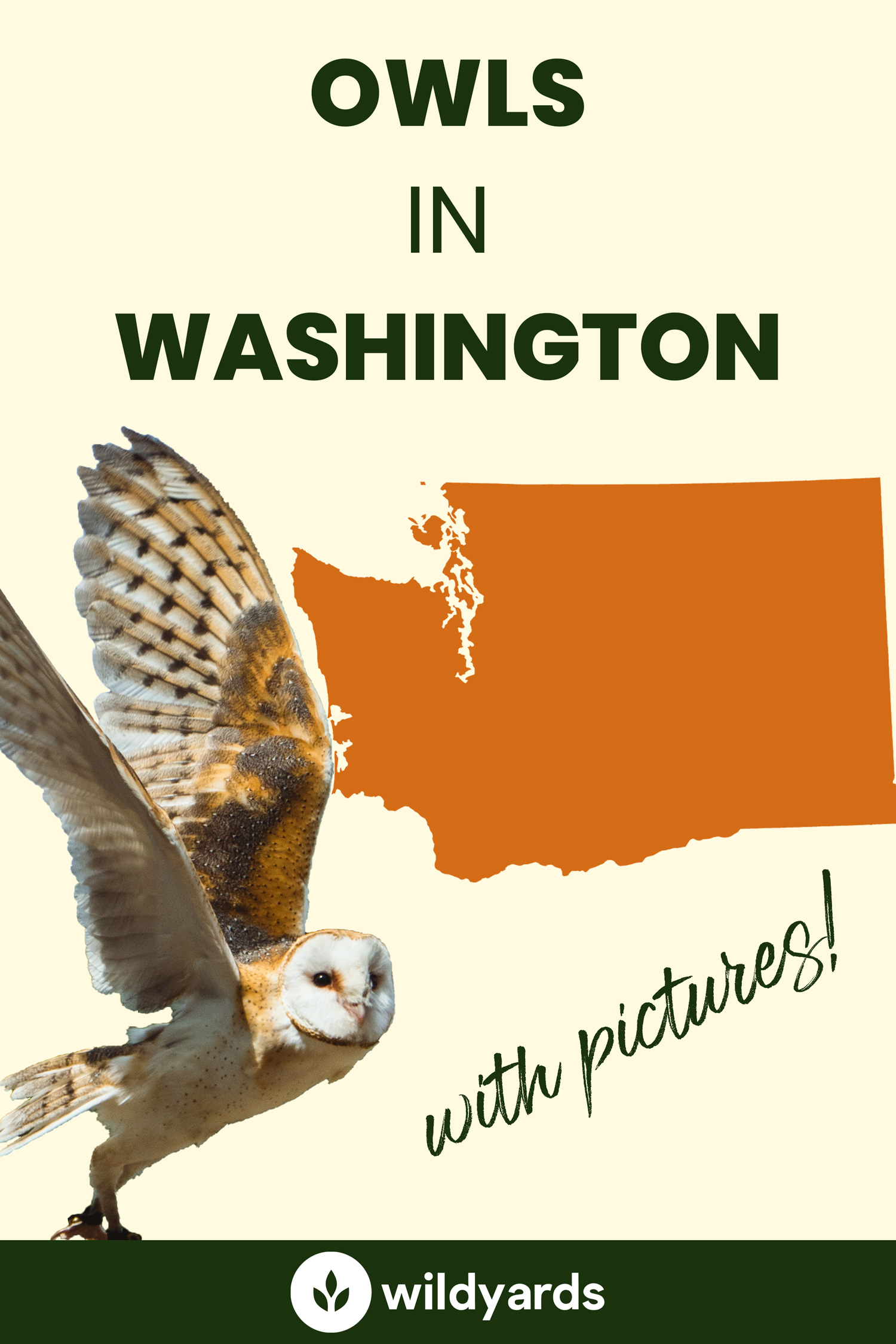All 15 Owls in Washington [With Sounds & Pictures]