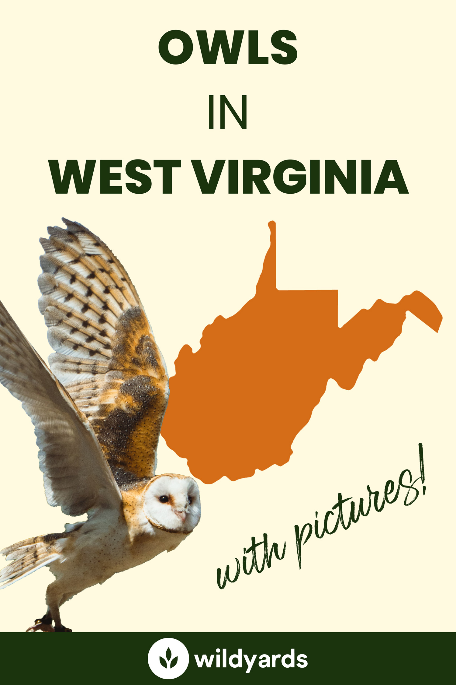 All 8 Owls in West Virginia [With Sounds & Pictures]