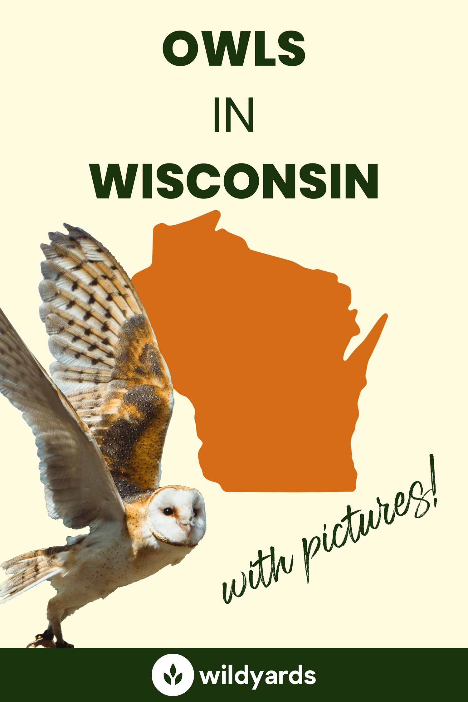 All 11 Owls in Wisconsin [With Sounds & Pictures]