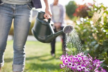 When Is The Worst Time To Water Plants?