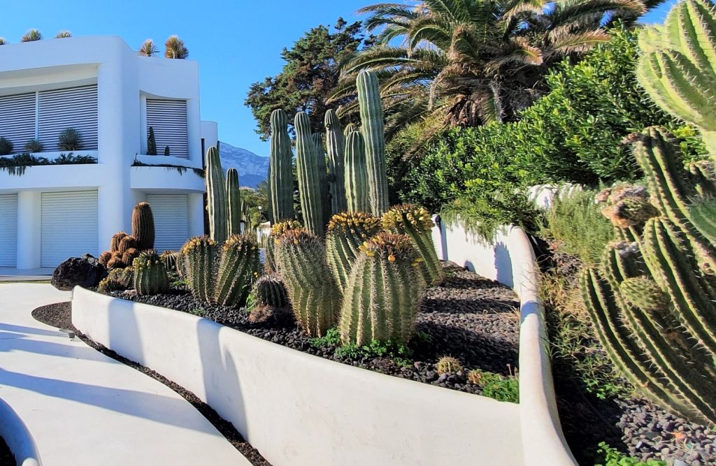 13 Best Sloped Front Yard Ideas On A Budget