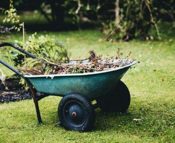 How To Clear A Garden Full Of Weeds