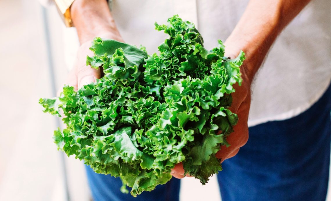 kale-growing-stages