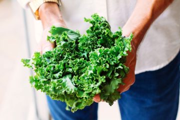 Kale Growing Stages - How To Get The Most Out Of Your Plant