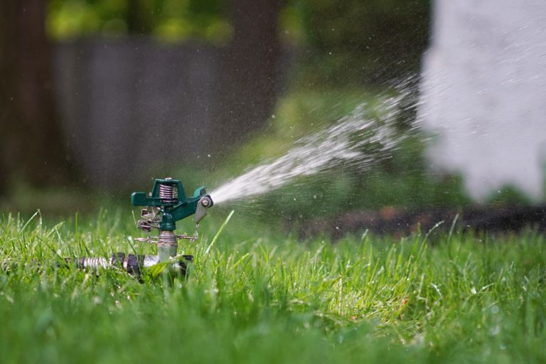 what-is-30-0-10-fertilizer-and-when-should-you-use-it