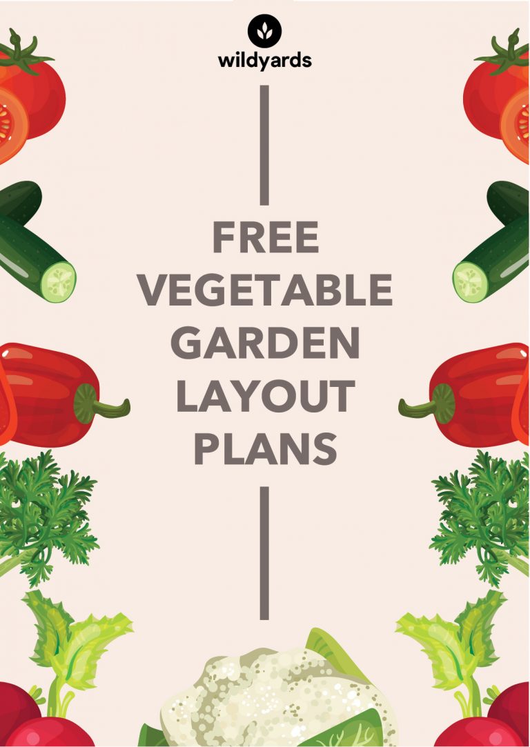 8 Vegetable Garden Plans To Try In Your Garden