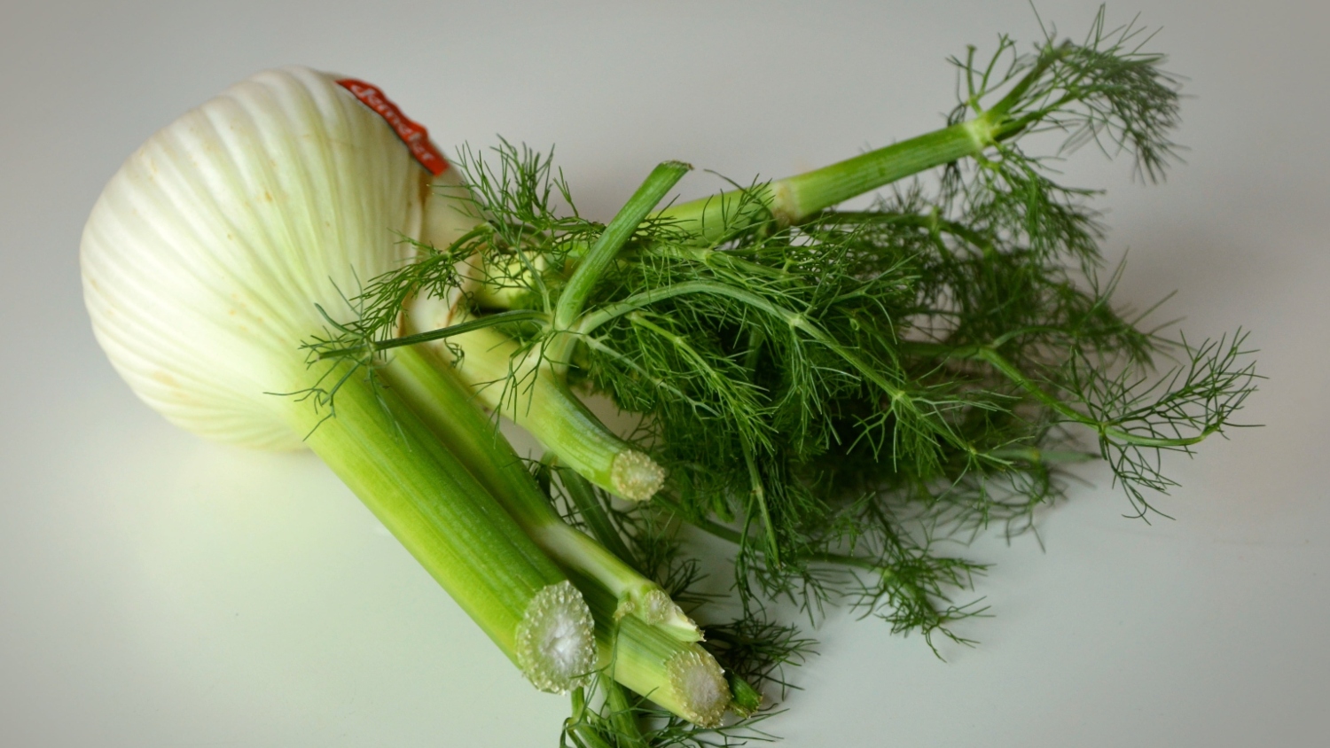 10 Plants That Look Like Dill