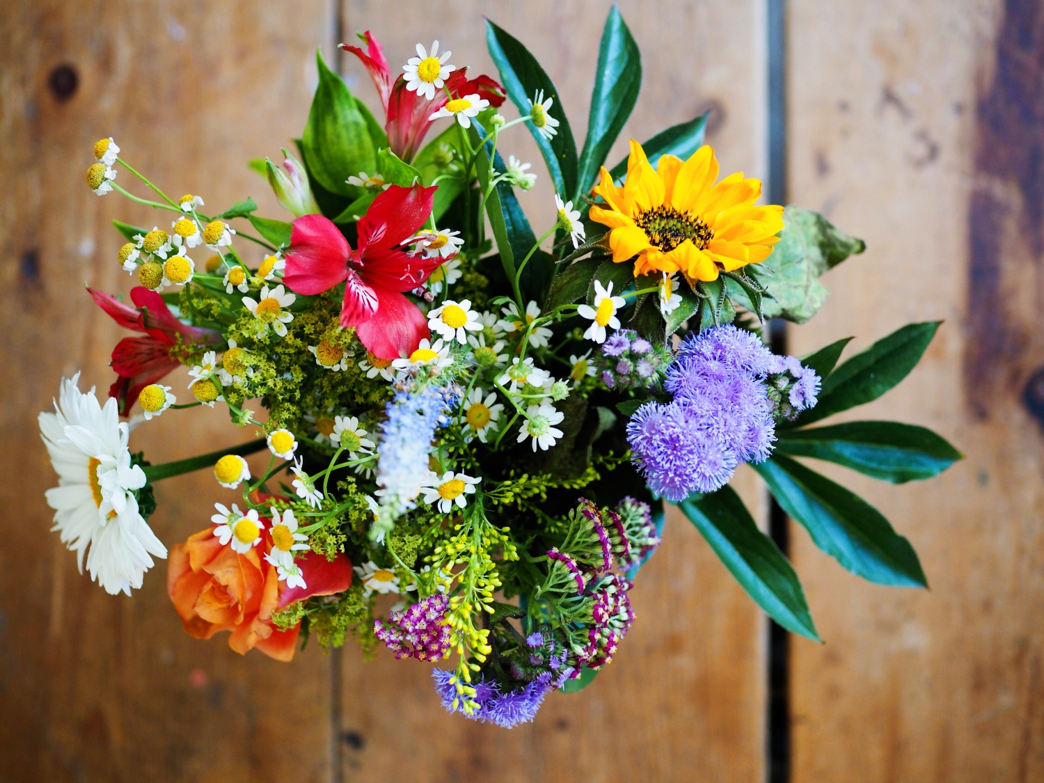 How Long Can Flowers Go Without Water 