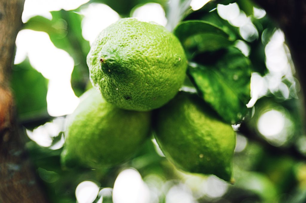 Why are lemons yellow and limes green? - BBC Science Focus Magazine