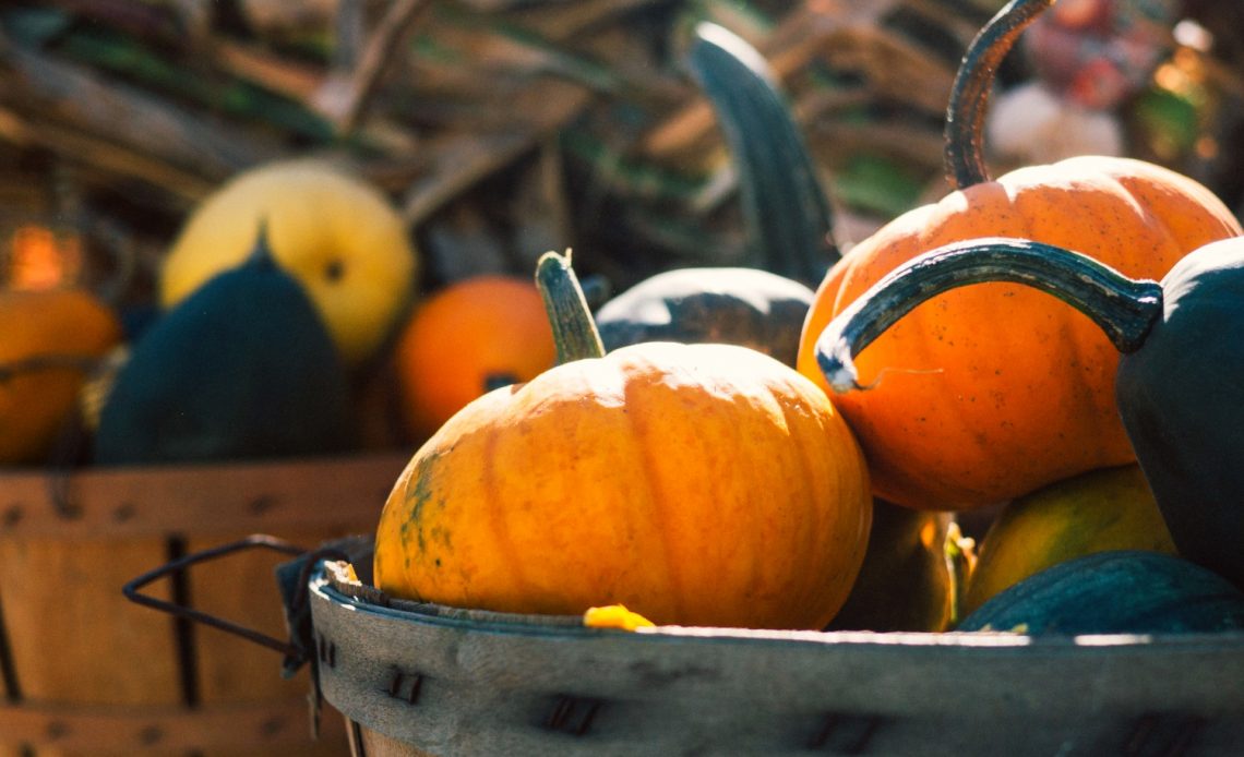 growing-pumpkins-in-small-spaces