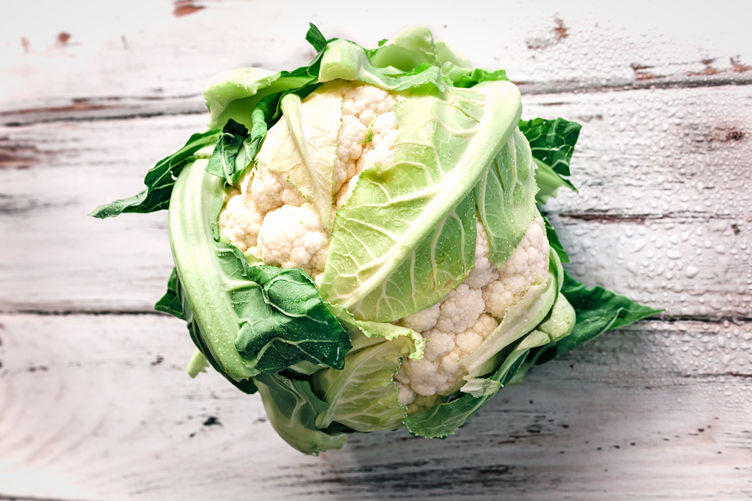 7 Cauliflower Growing Stages From Seed To Harvest