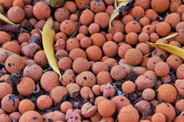 How To Use Hydroton Clay Pebbles In Your Garden