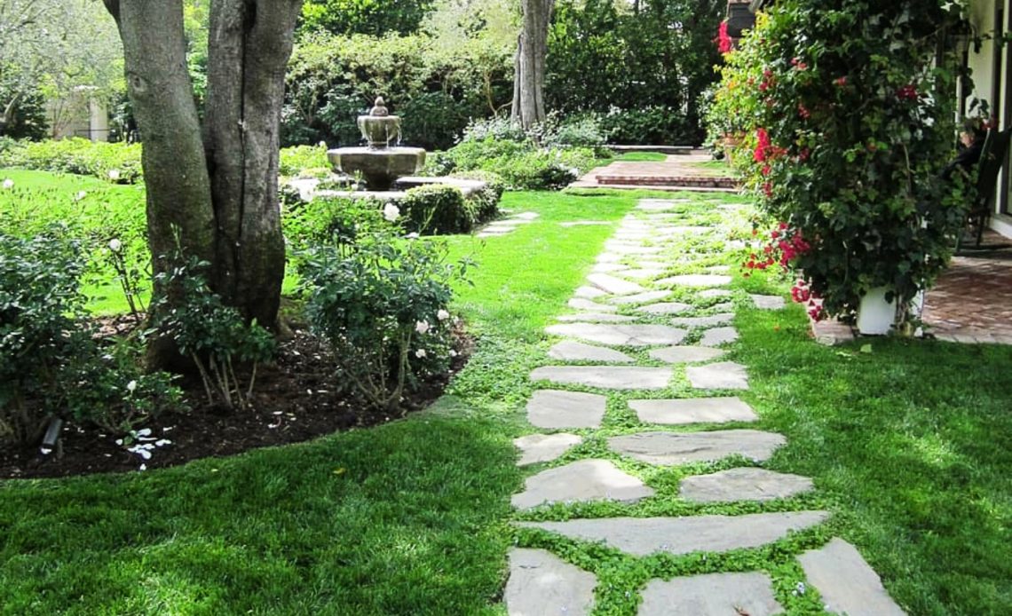 How to Grow Moss Between Pavers