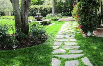 9 Ground Cover Plants To Grow Between Pavers