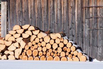 Can You Use Aspen As Firewood?
