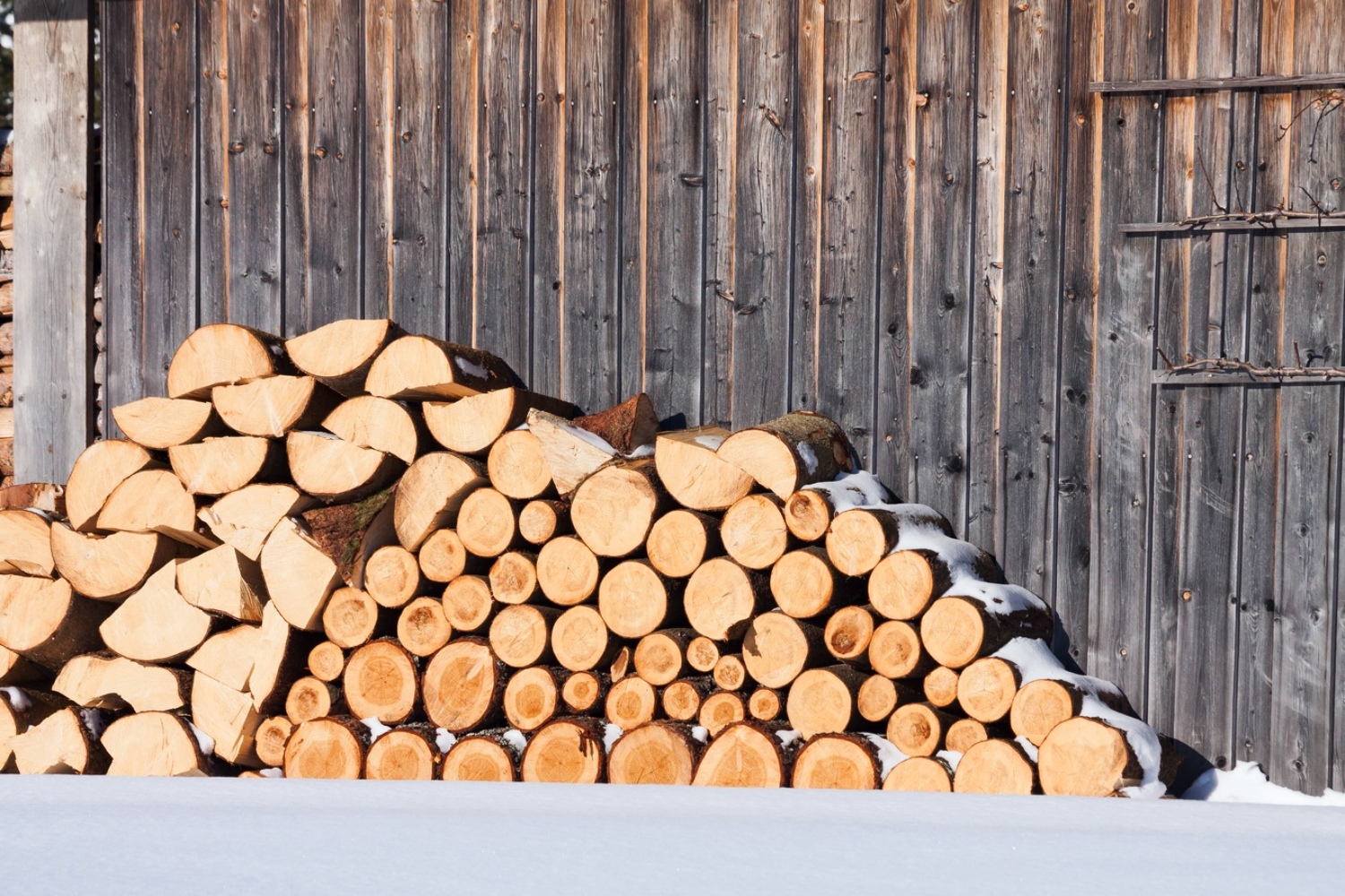 Can You Use Aspen As Firewood?
