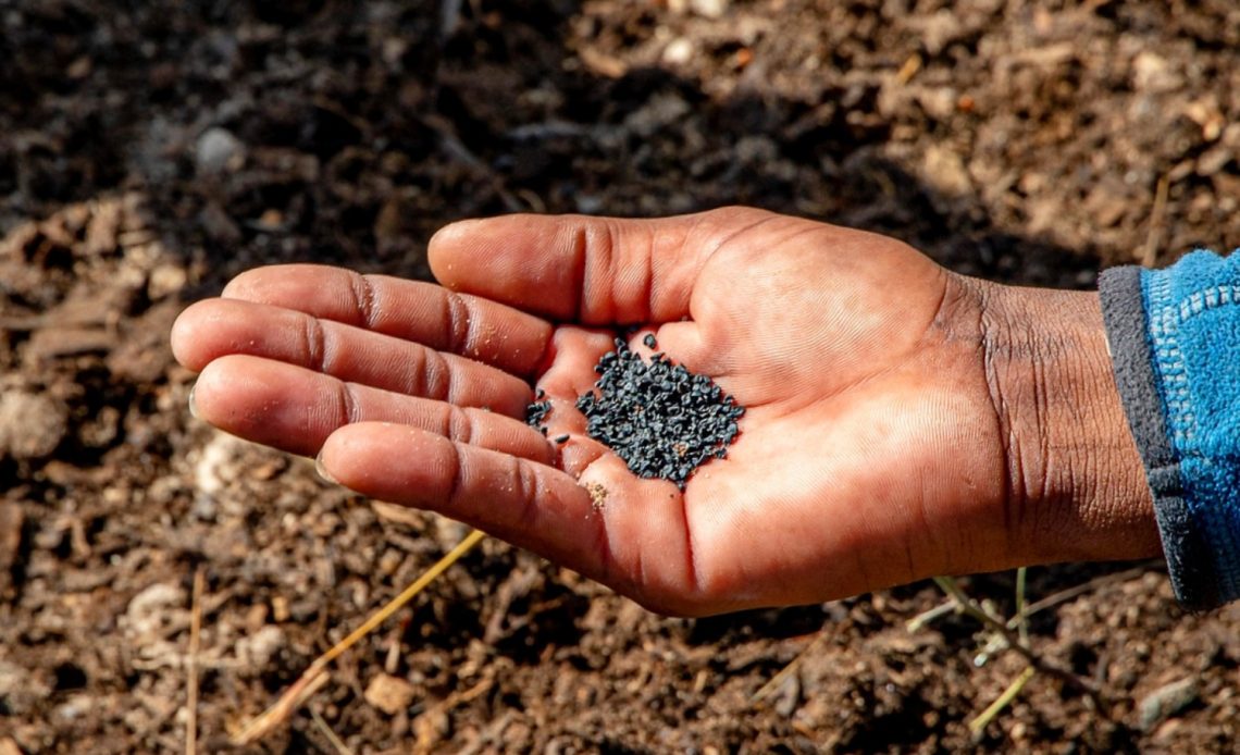 What Is 14 14 14 Fertilizer And When Should You Use It 