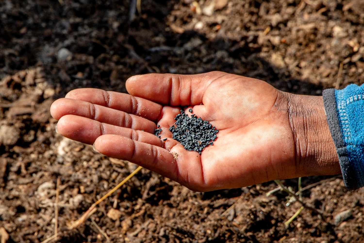 What Is 14 14 14 Fertilizer And When Should You Use It What Is 14 14 14 Fertilizer And When Should You Use It