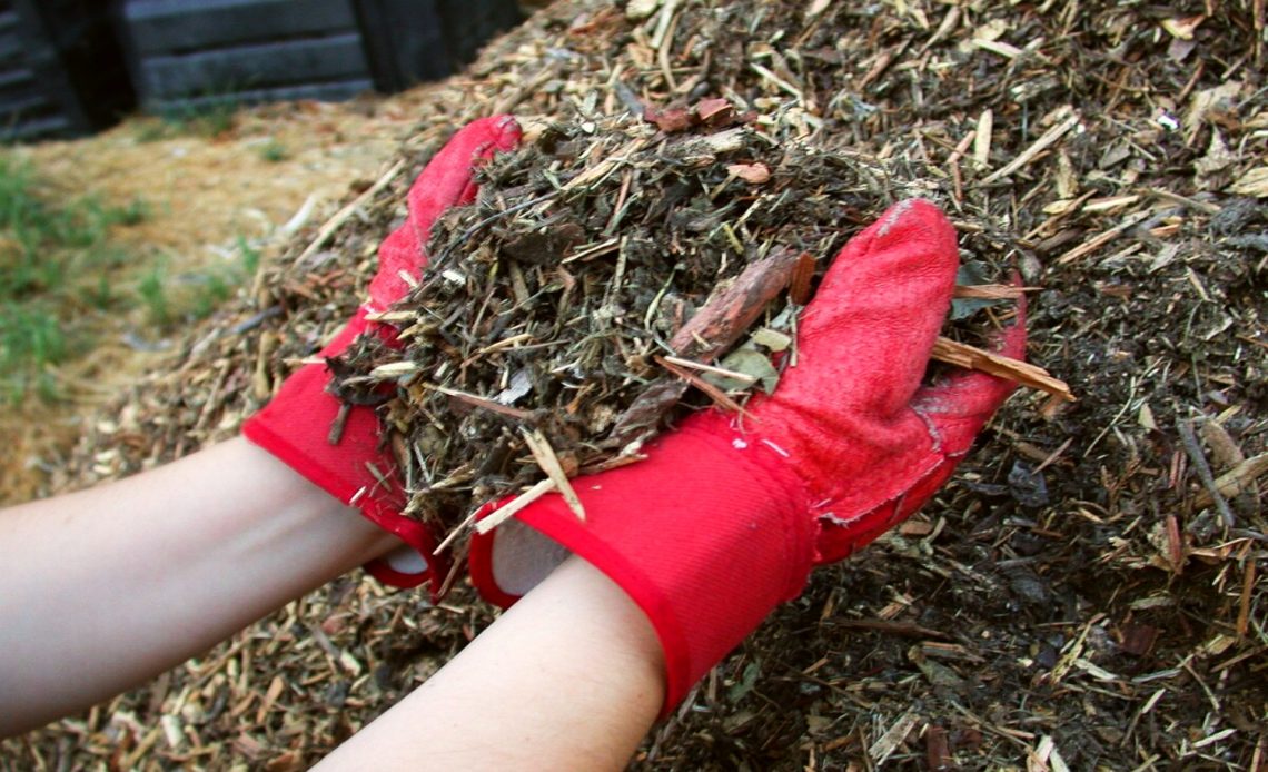 best-mulch-for-vegetable-garden