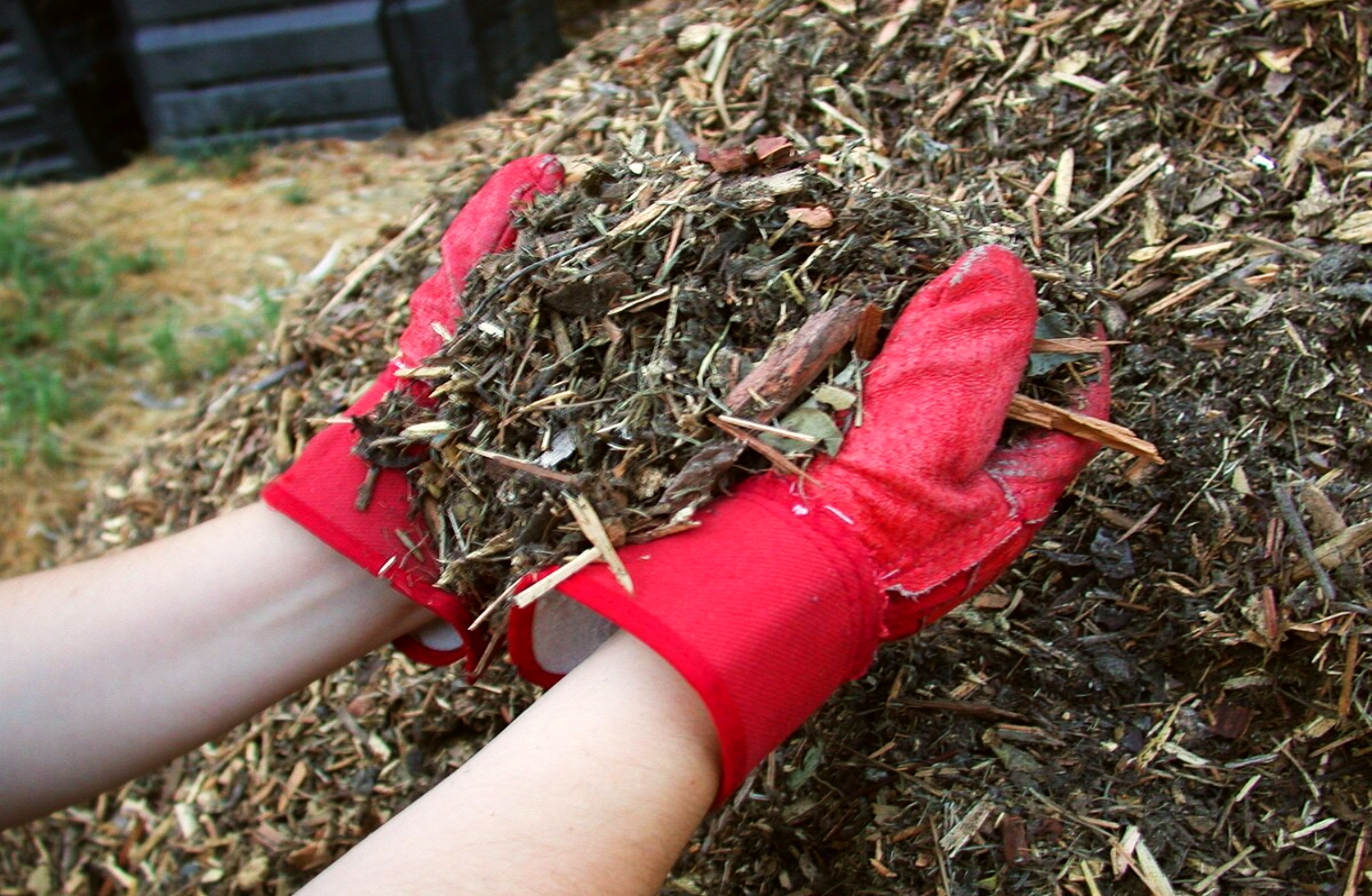 12 Best Organic Mulches For Vegetable Gardens