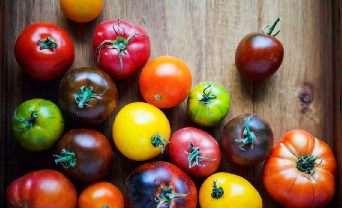 best-tasting-tomatoes
