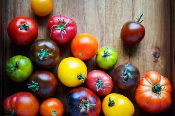 35 Best Tasting Tomatoes To Grow In Your Garden