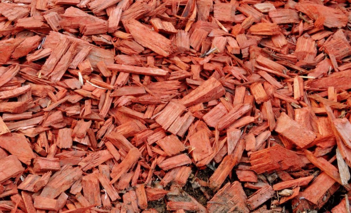 cedar-mulch