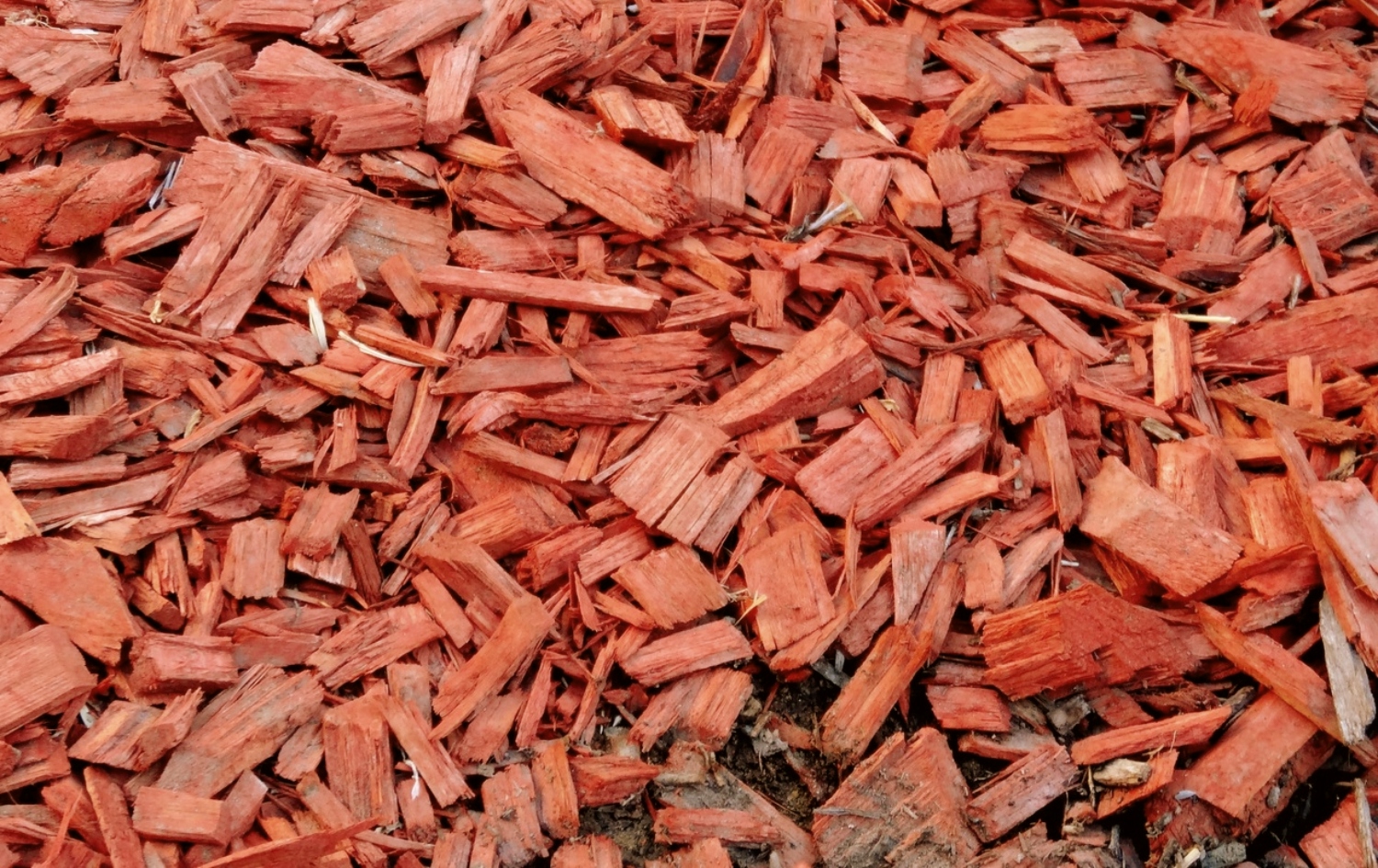 The Ultimate Guide To Using Cedar Mulch In Gardens