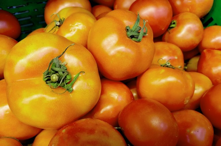 35 Best Tasting Tomatoes To Grow In Your Garden