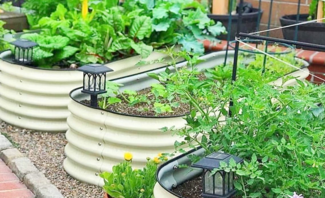 is-galvanized-steel-safe-for-garden-beds