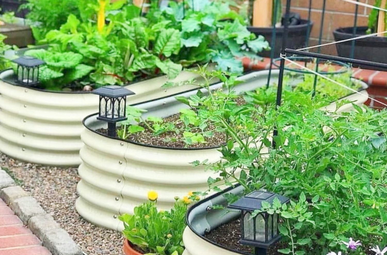 is-galvanized-steel-safe-for-garden-beds