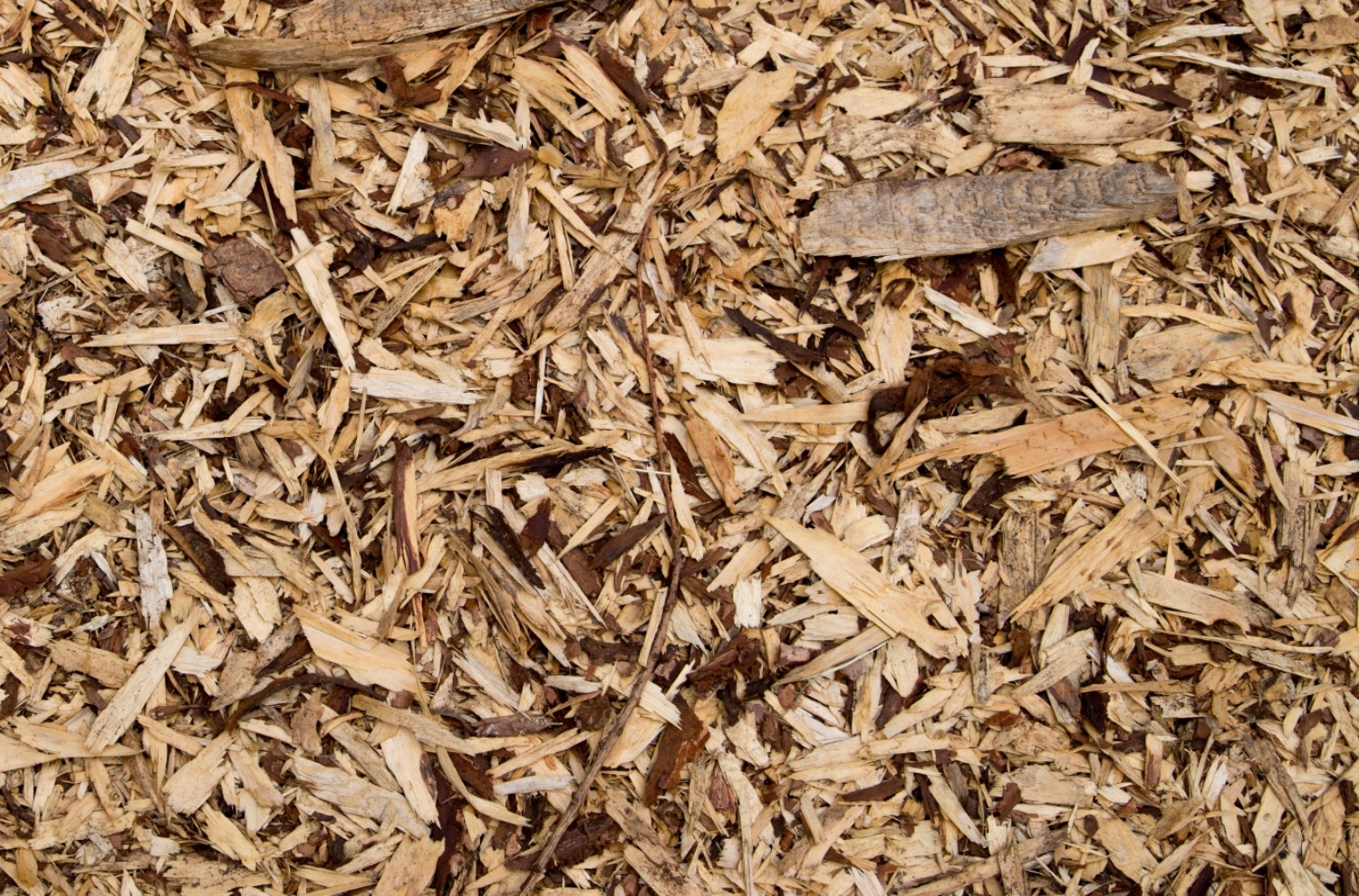 How To Clear A Garden Full Of Weeds