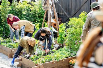 12 Organic Gardening Practices To Make Gardening Easier